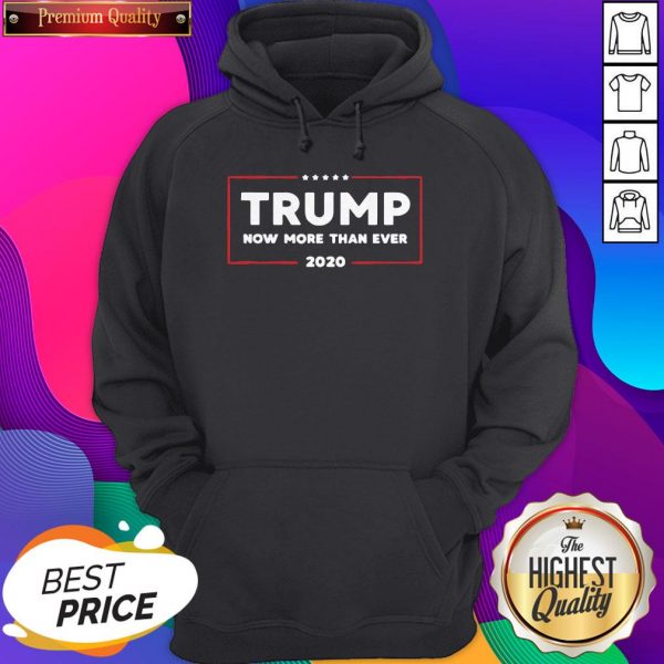 Trump 2002 Now More Than Ever Pro Trump 2020 Election Hoodie
