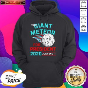 Vote Giant Meteor For President 2020 Just End It Hoodie