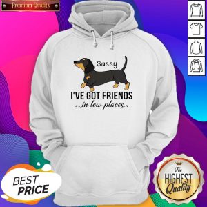Dachshund I’ve Got Friends In Low Places Hoodie