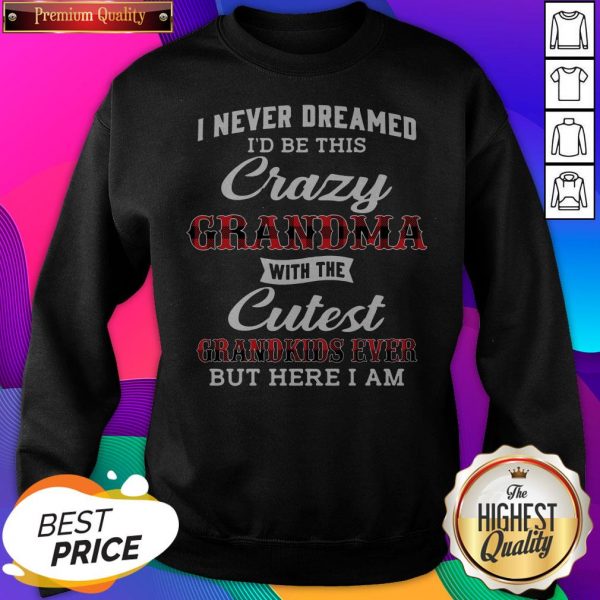 I Never Dreamed I'D Be This Crazy Grandma With The Cutest Grandkids Ever But Here I Am SweatShirt