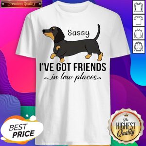 Dachshund I’ve Got Friends In Low Places Shirt