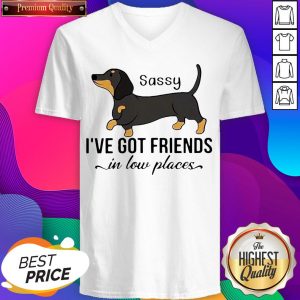 Dachshund I’ve Got Friends In Low Places V-neck