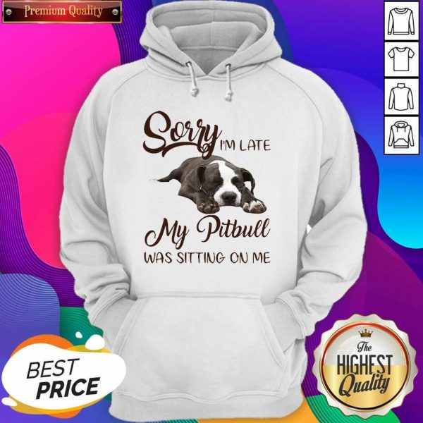 Nice Sorry I’m Late My Pitbull Was Sitting On Me Hoodie- Design By Sheenytee.com