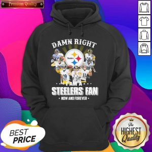 So Damn Right I Am A Pittsburgh Steelers Fan Now And Forever Signature Hoodie- Design By Sheenytee.com