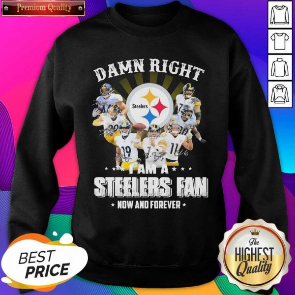 So Damn Right I Am A Pittsburgh Steelers Fan Now And Forever Signature Sweatshirt- Design By Sheenytee.com