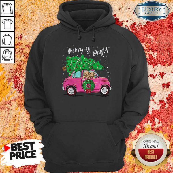 Merry And Bright Pitbull Dog Christmas Hoodie-neck- Design By Sheenytee.com