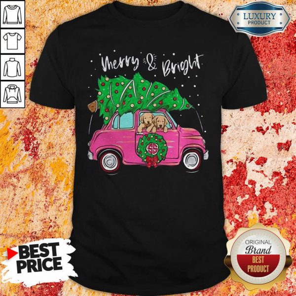Merry And Bright Pitbull Dog Christmas Shirt- Design By Sheenytee.com
