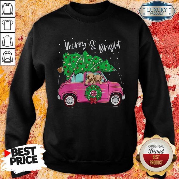 Merry And Bright Pitbull Dog Christmas Sweatshirt- Design By Sheenytee.com