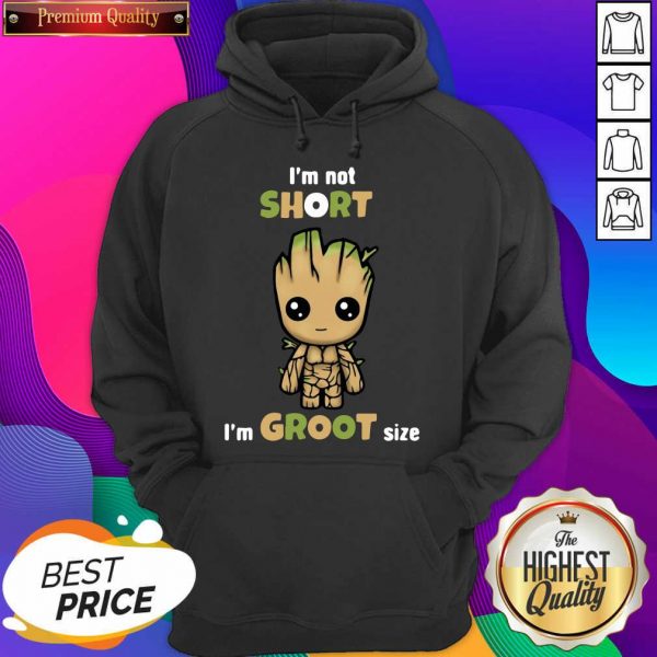 I’m Not Short Im Groot Size Hoodie- Design By Sheenytee.com