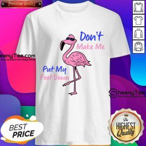 Flamingo Don't Make Me Put My Foot Down Shirt