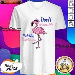 Flamingo Don't Make Me Put My Foot Down V-neck