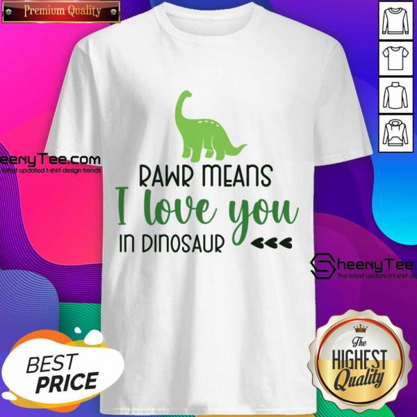 Rawr Means I Love You In Dinosaur Shirt